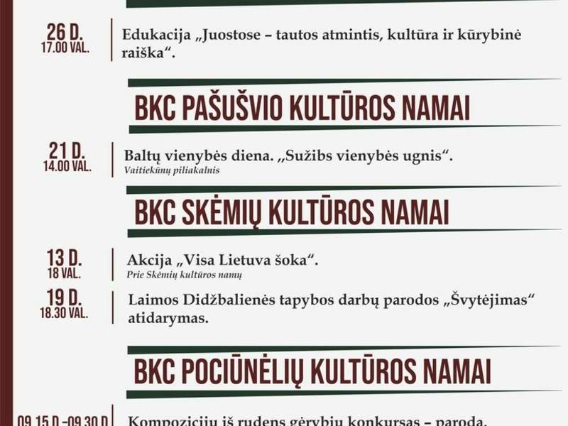 RENGINIŲ PLANAS BAISOGALOJE